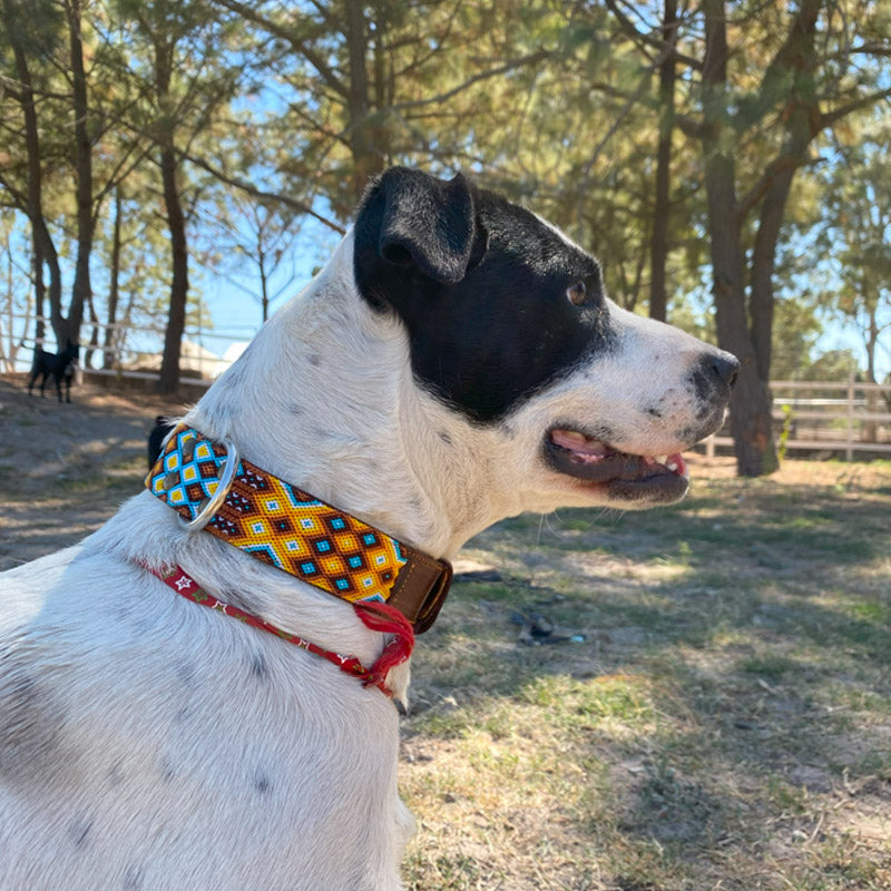 Collar Ancho "Fite"