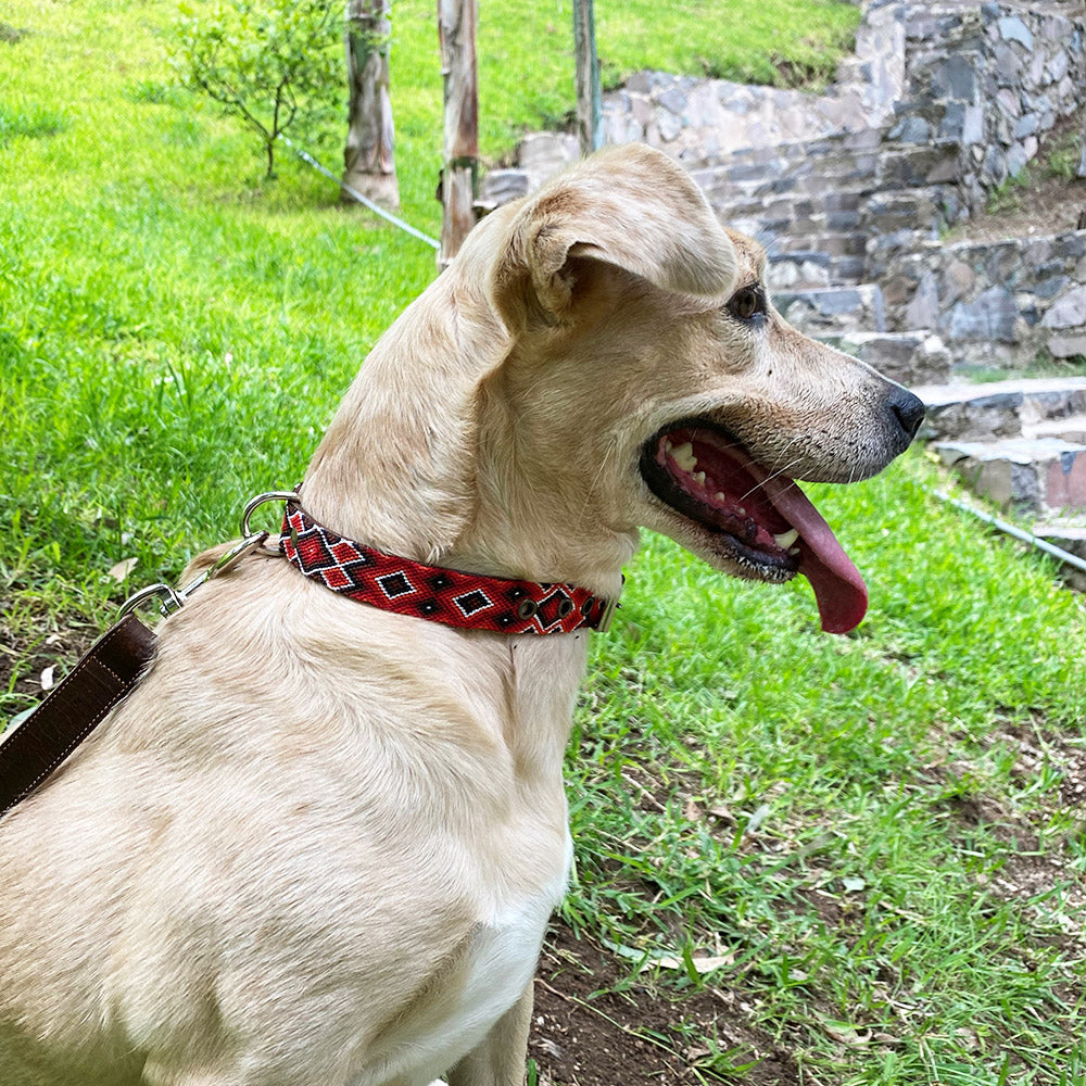 Collar Delgado "Lola"